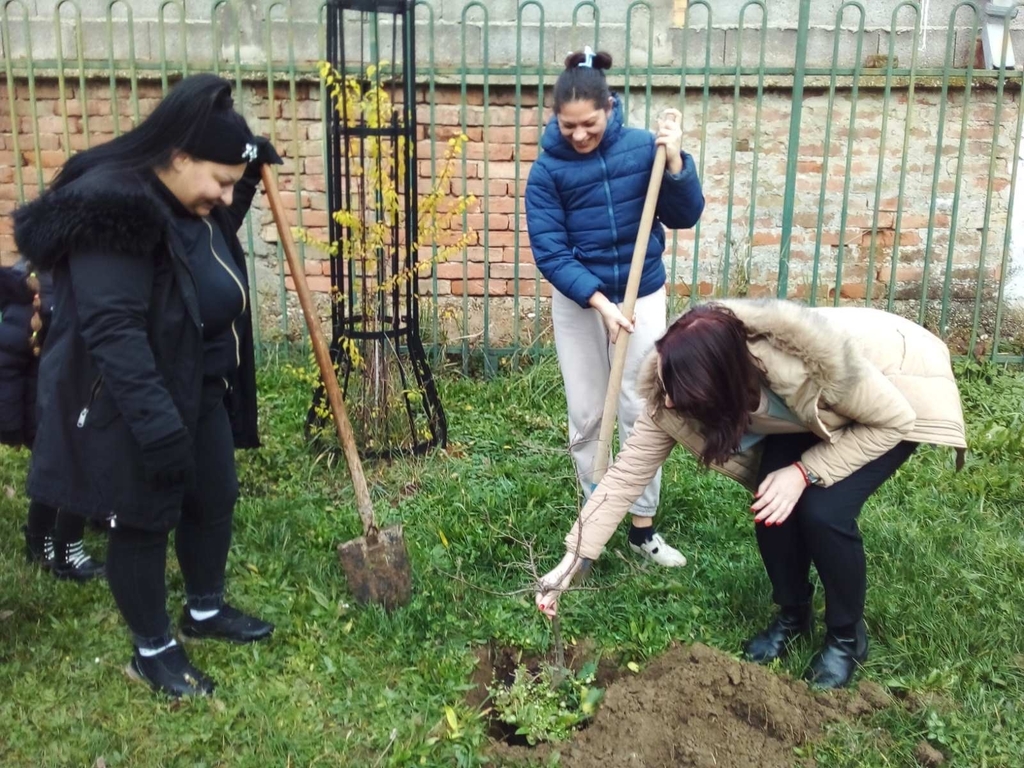 JPEG 20251223 110600 2728045846345526762