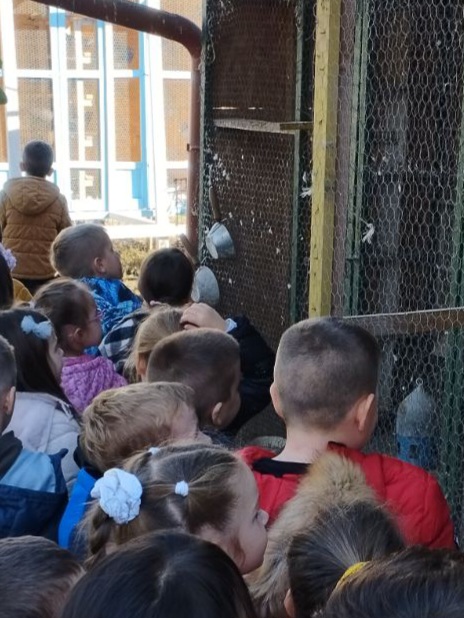 IMG 4adcc618c25ad77f128f1d4b86770889 V